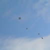 1st Operation Toy Drop 092